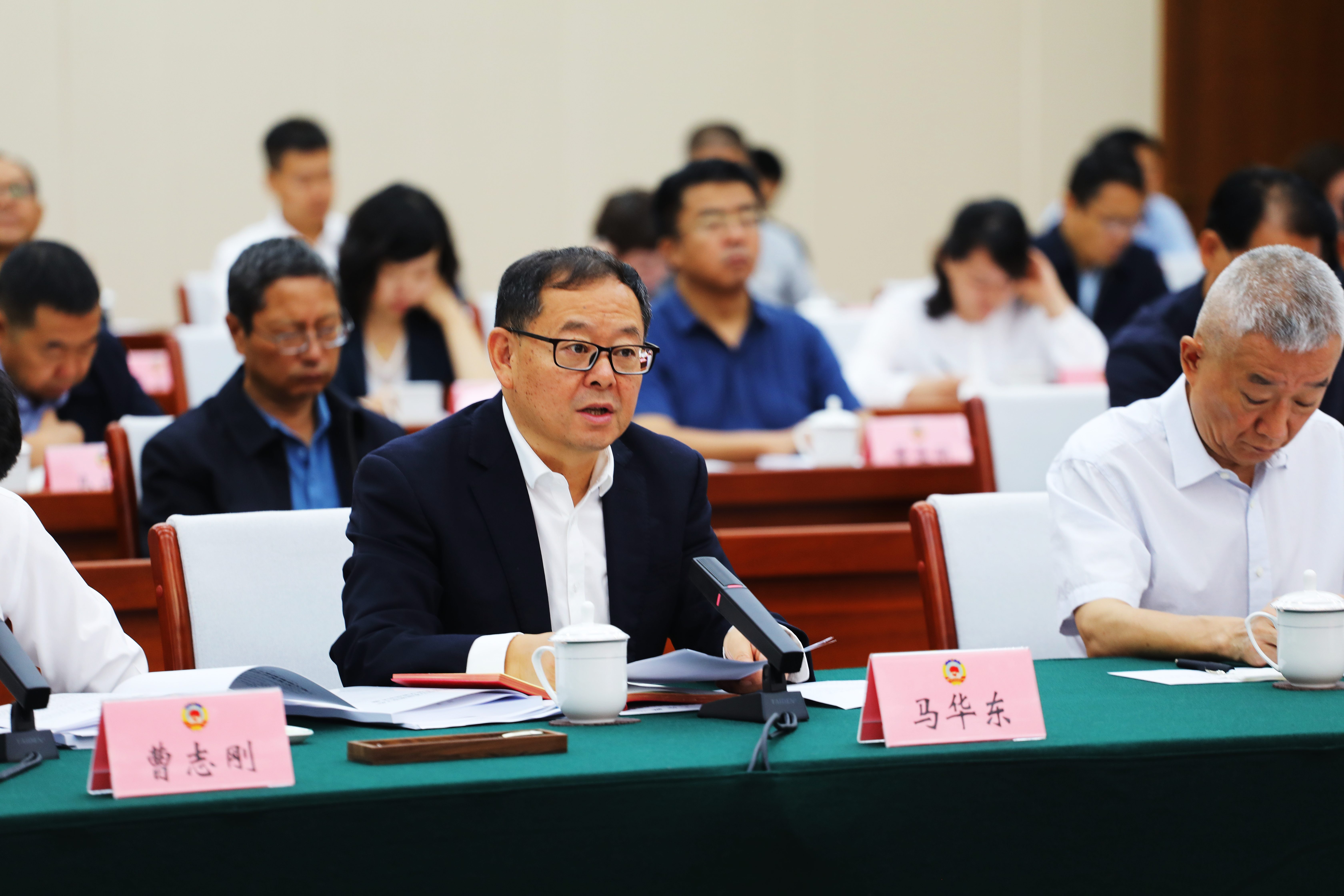 马华东围绕“推进新疆新型电力系统建设”建言资政